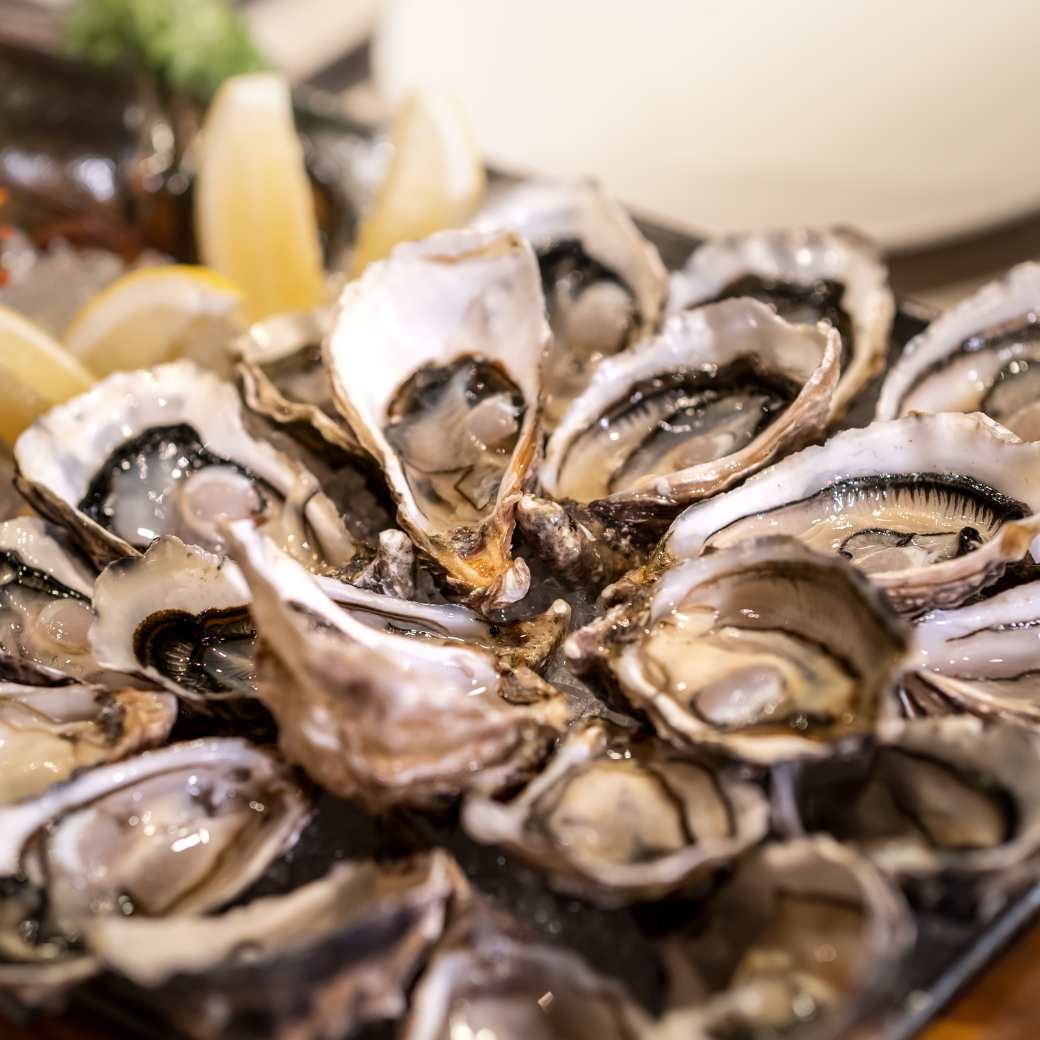 Oyster Fine de Claire N°4