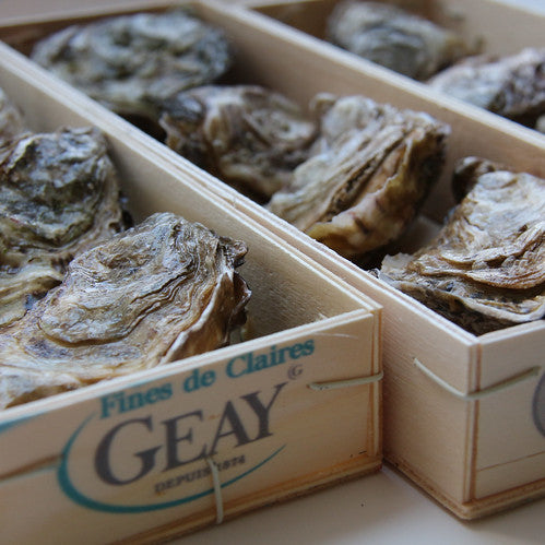 Oyster Fine de Claire N°4