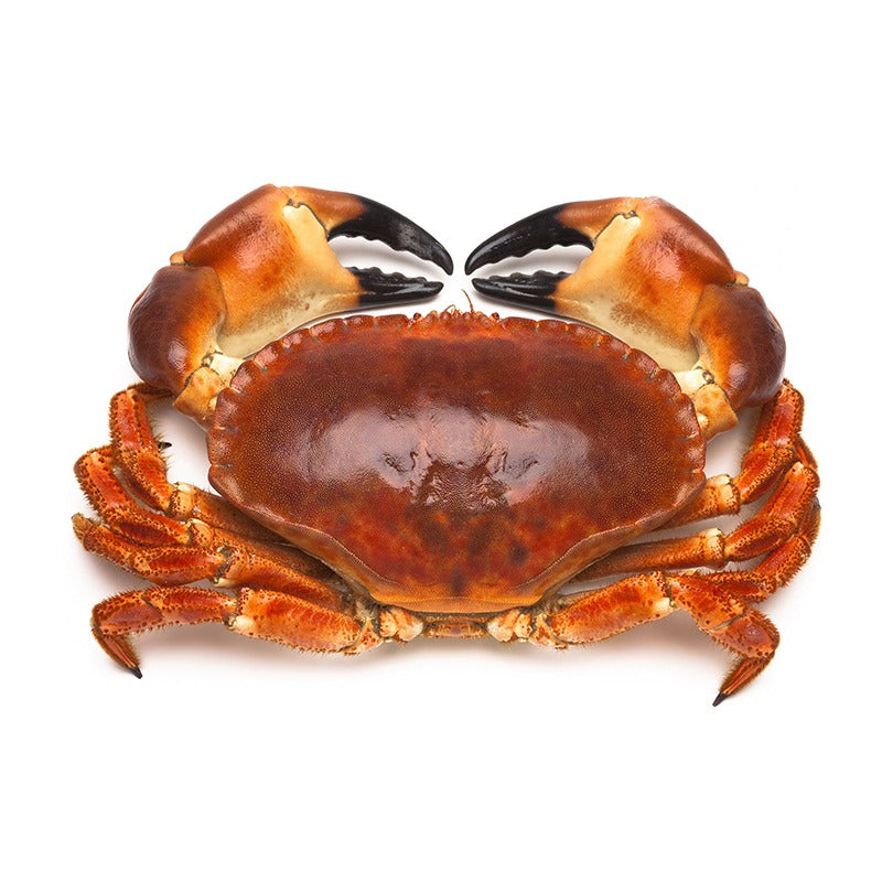 Brown Crab 1KG