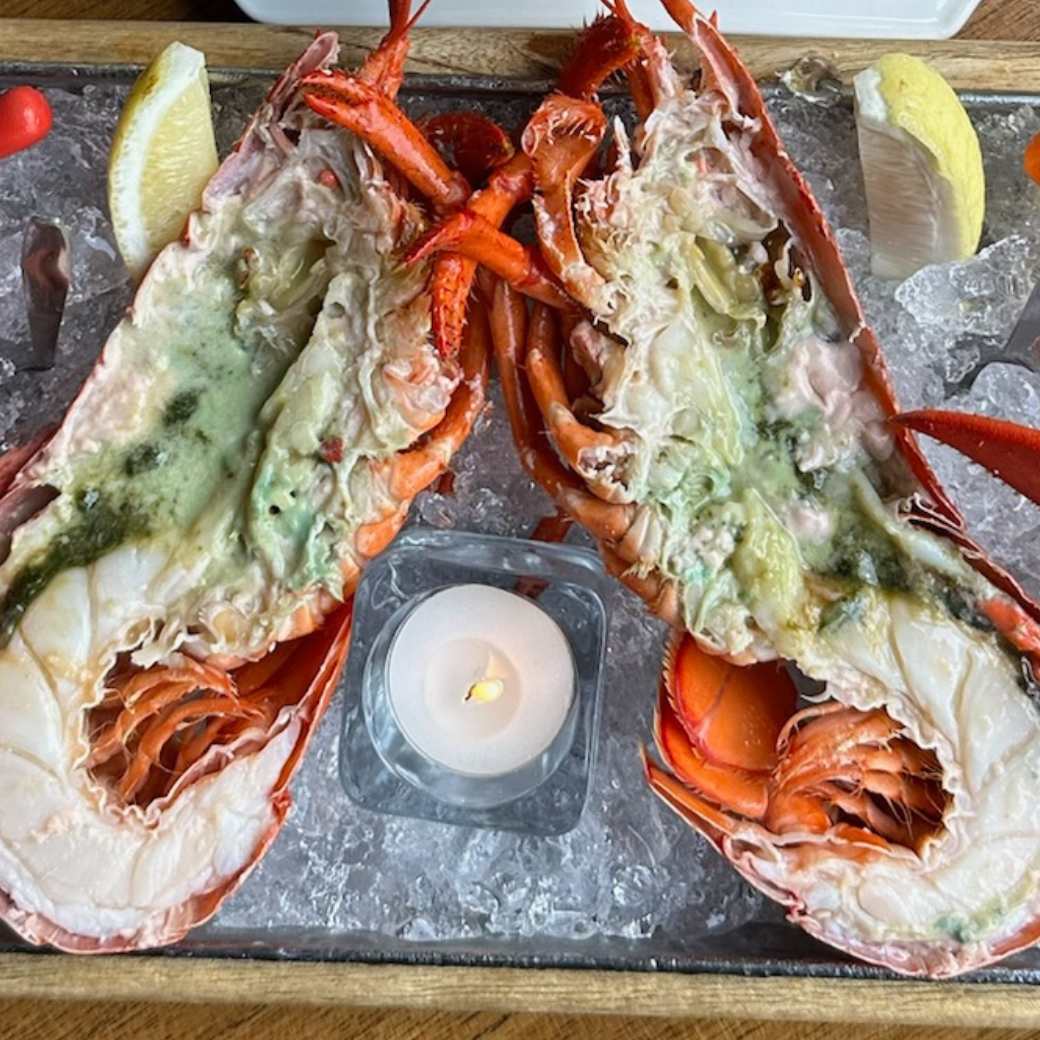 Maine Lobster 750g /pc