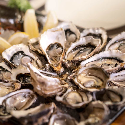 Oyster Fine de Claire N°4