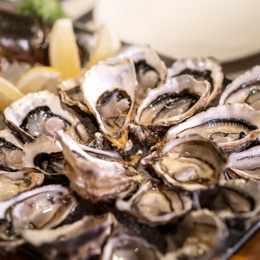 Oyster Fine de Claire N°4