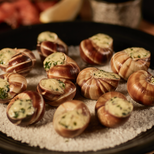 Burgundy Snails - 12 pcs