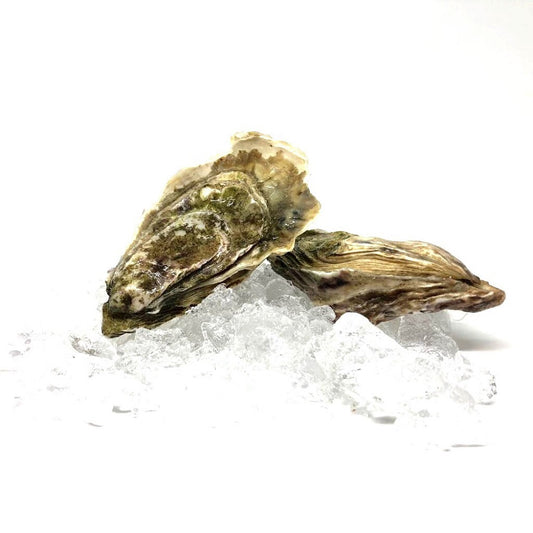 Oyster Fine de Claire N°2