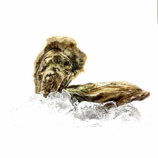 Oyster Fine de Claire N°3
