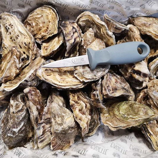 Gillardeau Oysters N°2