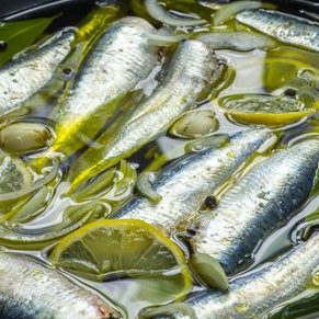 Marinated Sardines by Cagette 100g